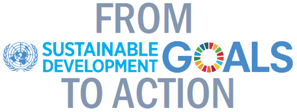 From Sustainable Development Goals to Action